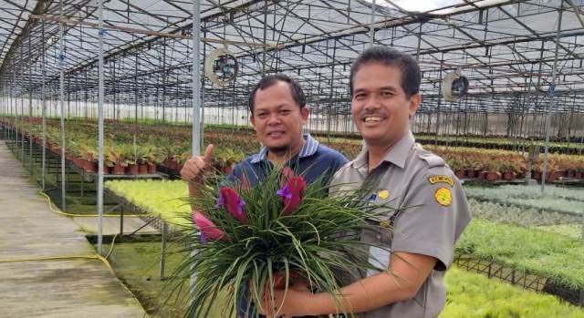 Exports of Ornamental Plants with the Potential to Bloom